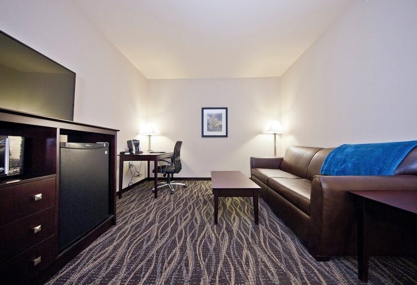 فندق Cobblestone Inn & Suites  Boone