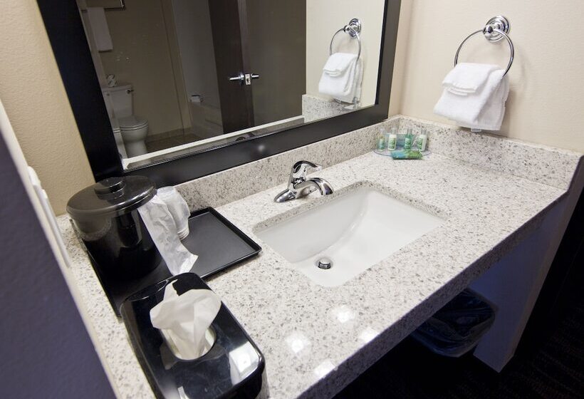 فندق Cobblestone Inn & Suites  Boone