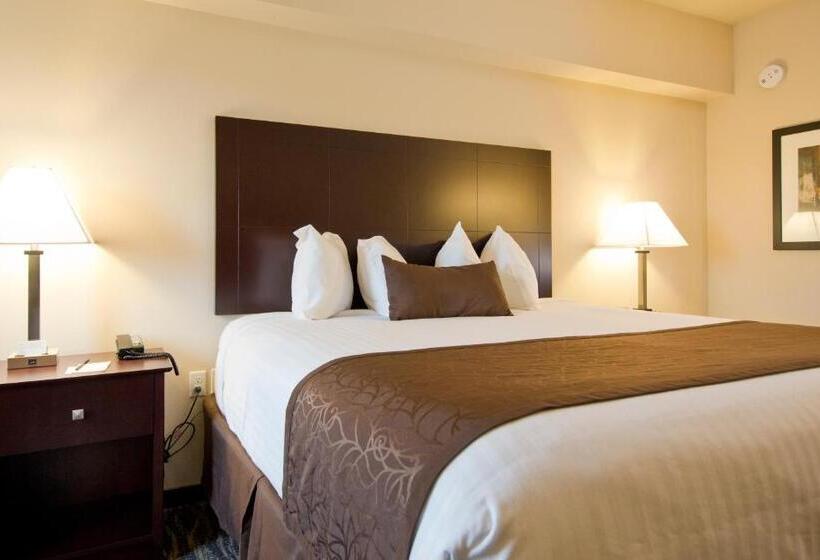 فندق Cobblestone Inn & Suites  Boone