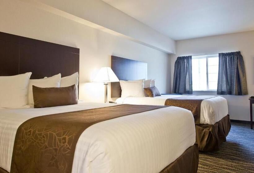فندق Cobblestone Inn & Suites  Boone