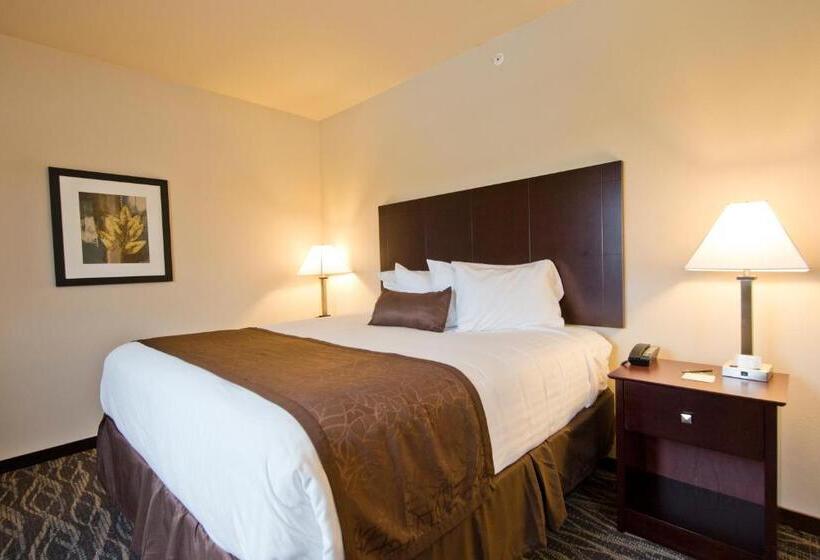 فندق Cobblestone Inn & Suites  Boone