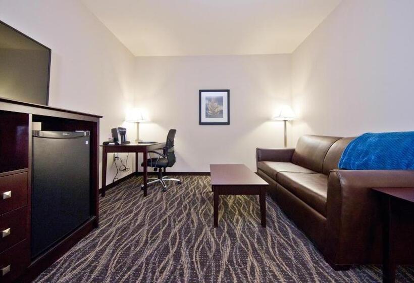 فندق Cobblestone Inn & Suites  Boone