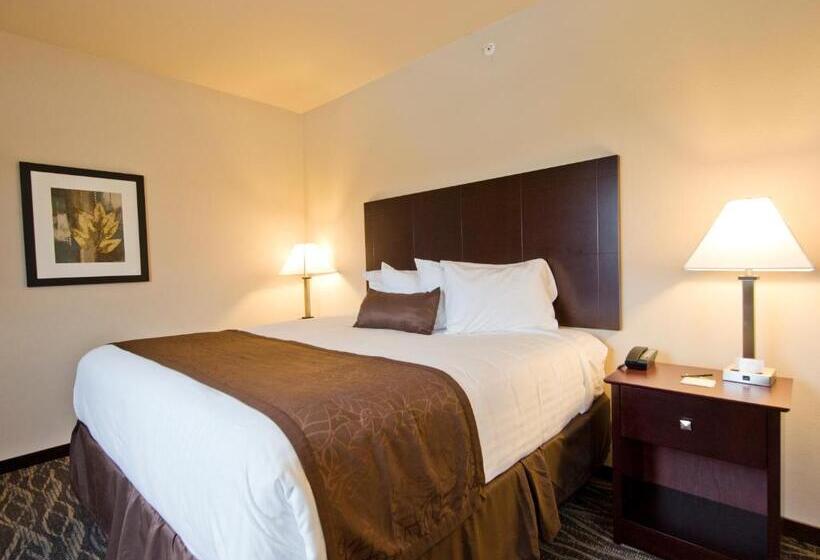 فندق Cobblestone Inn & Suites  Boone