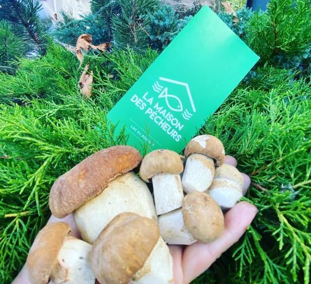 ホテル La Maison Des Pêcheurs