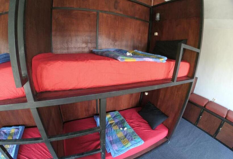 Local Hostel Amed
