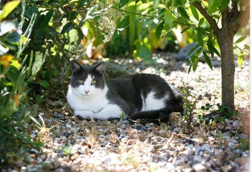 Margaret's Cottage B&b