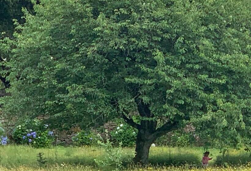 O Lagar De Jesús   Hostel