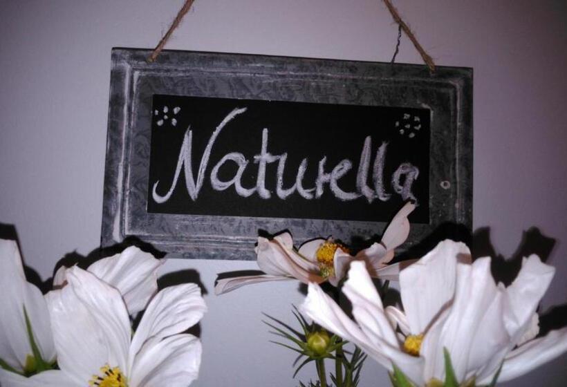 پانسیون Auf Kleine Wiesen