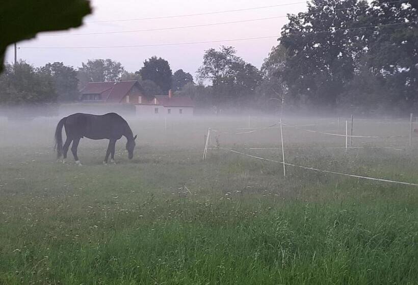 بنسيون Auf Kleine Wiesen