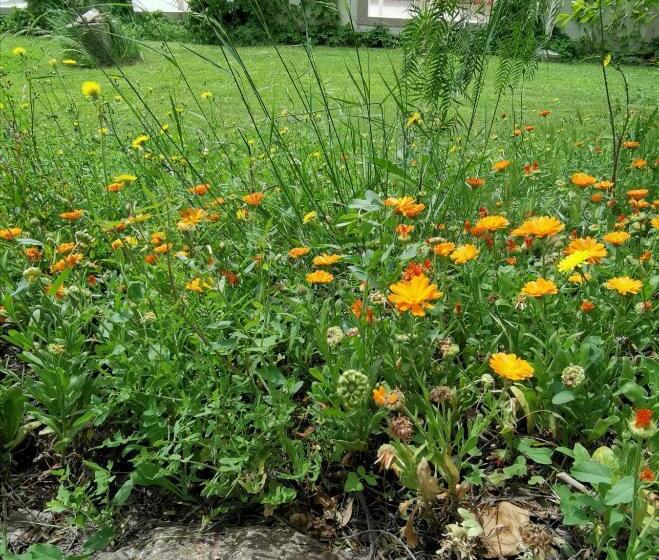 ペンション Flos Guest House