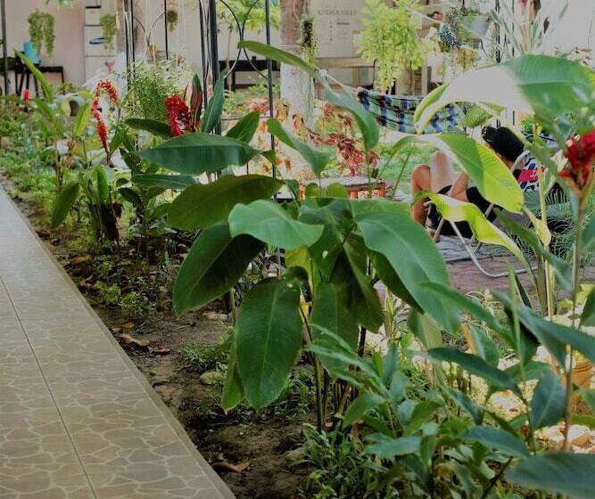 Kitara House Backpackers Hostel