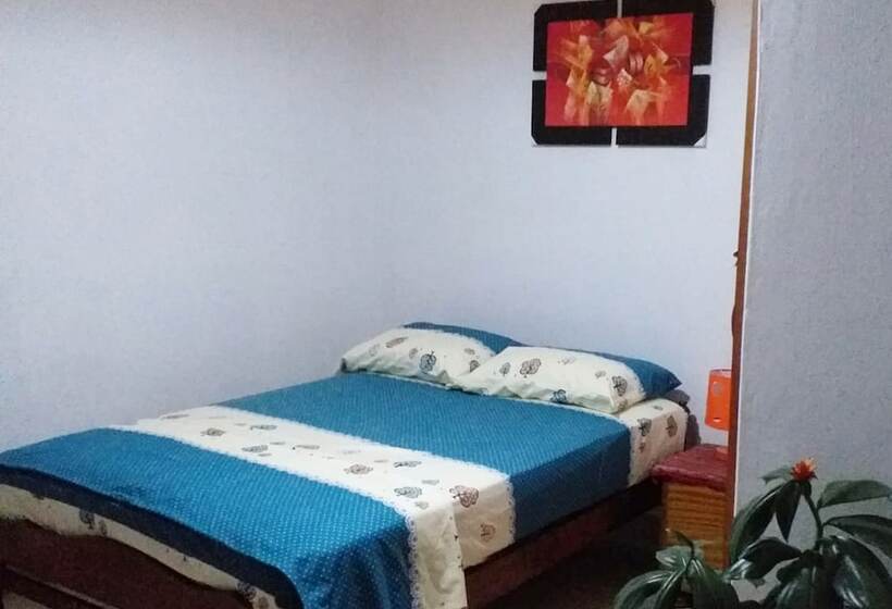 Kitara House Backpackers Hostel