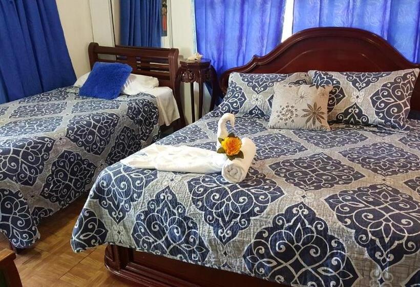 هاستل Posada Nativa Licy