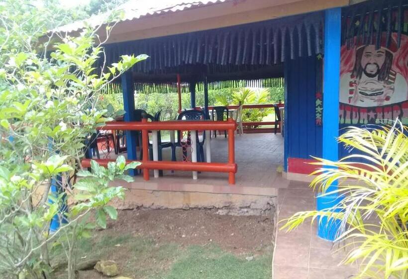 هاستل Posada Nativa Licy