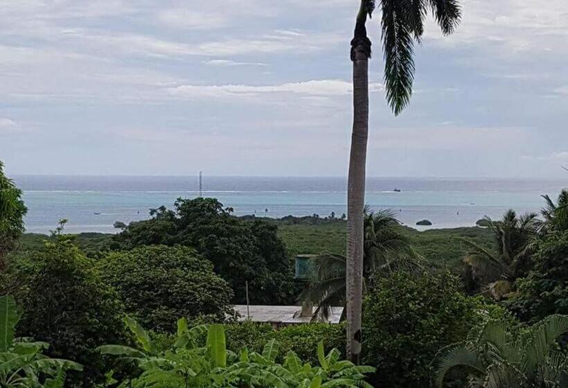 هاستل Posada Nativa Licy