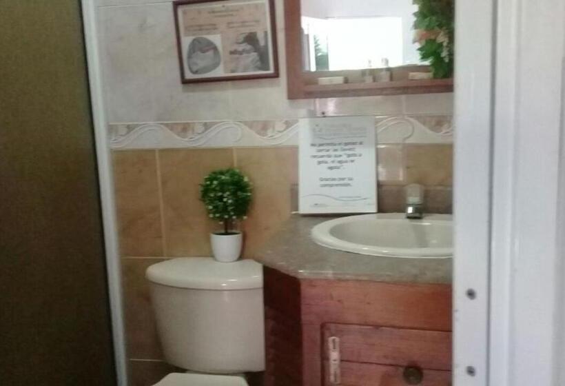 هاستل Posada Nativa Licy