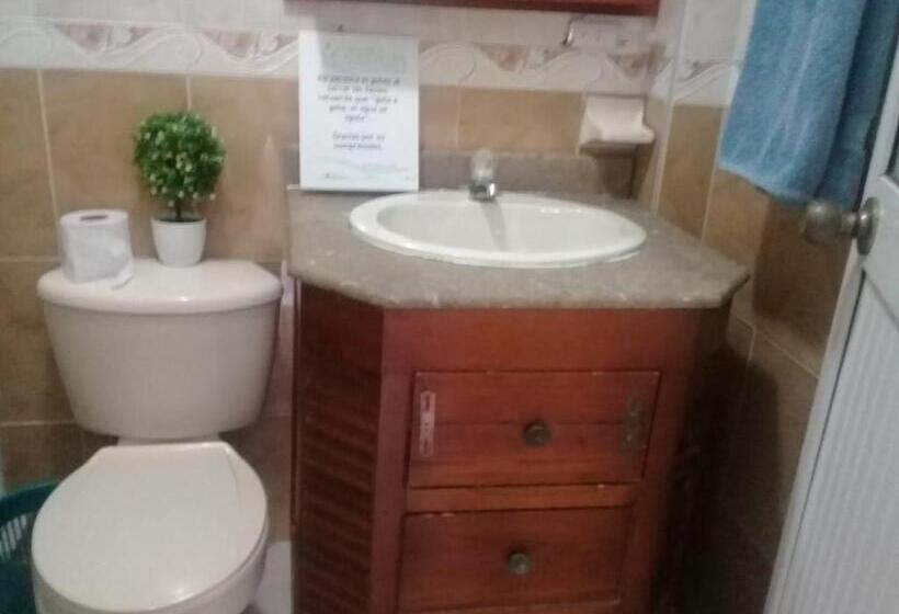 هاستل Posada Nativa Licy