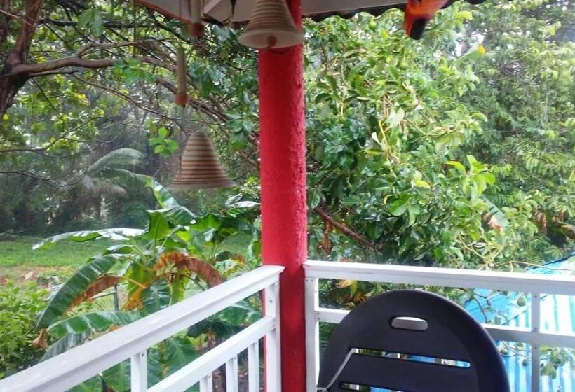 هاستل Posada Nativa Licy