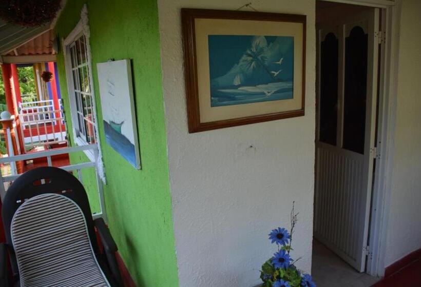 هاستل Posada Nativa Licy