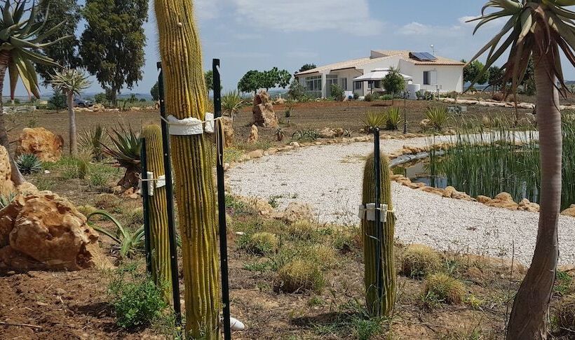 ベッドアンドブレックファースト Il Giardino Di Afrodite