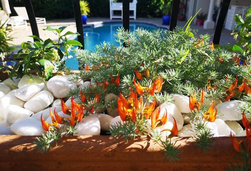 مبيت وإفطار Maison Le Pur Sang