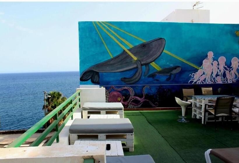 Bed and Breakfast Terrazas Del Sur