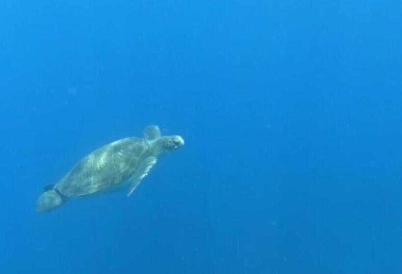 Bed and Breakfast Terrazas Del Sur