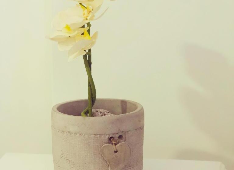 Edificio Saintjoseph