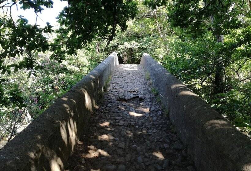 Hostel Puerto Algeciras