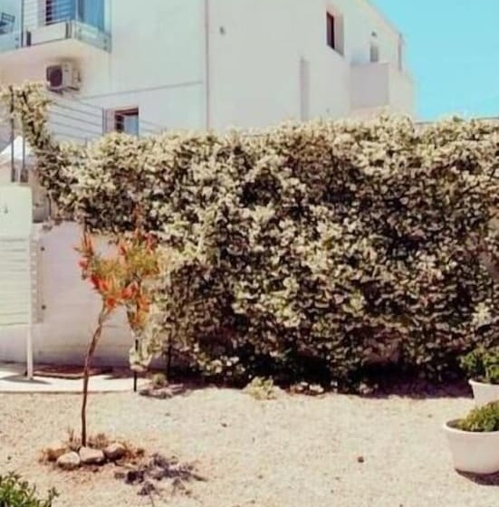 هتل Villa Landolina