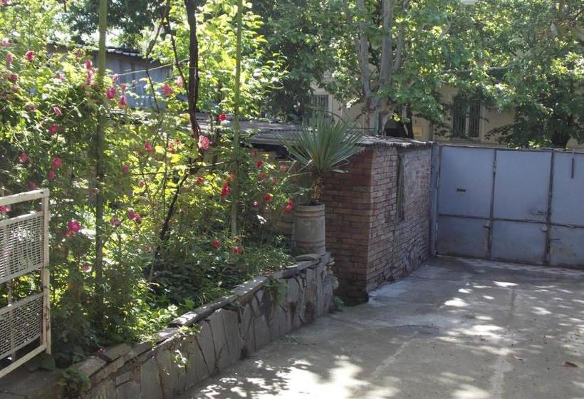 پانسیون Babibu