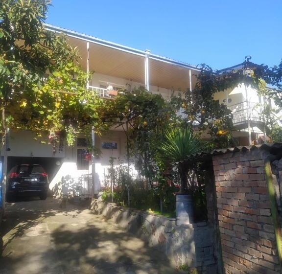 پانسیون Babibu