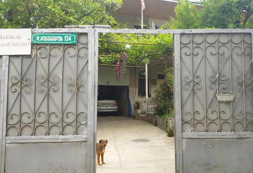 پانسیون Babibu