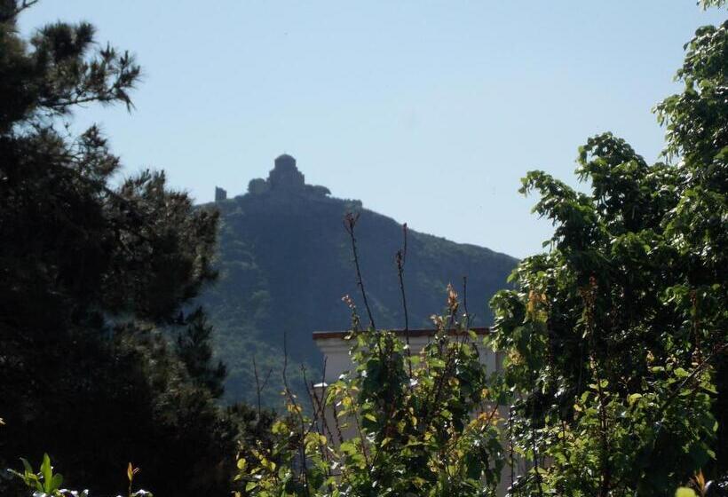 پانسیون Babibu