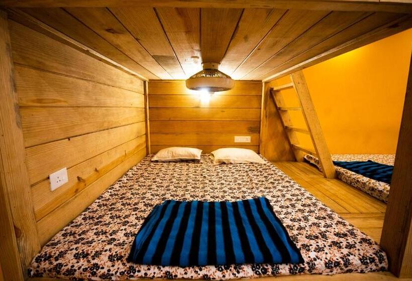 פנסיון Godwill Casa Varca