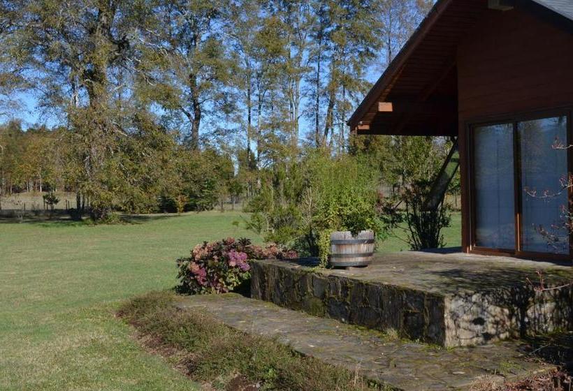 פנסיון Outrippers Pucón