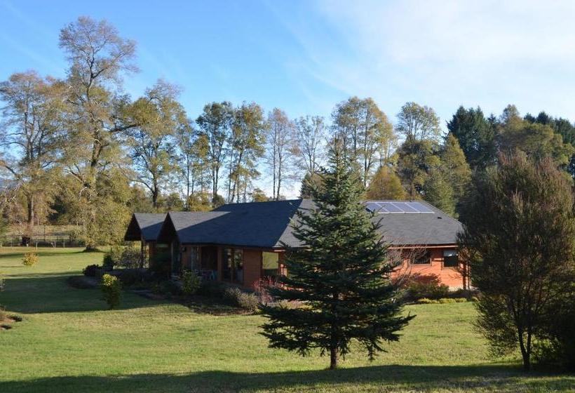 פנסיון Outrippers Pucón