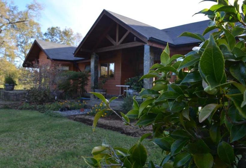 פנסיון Outrippers Pucón