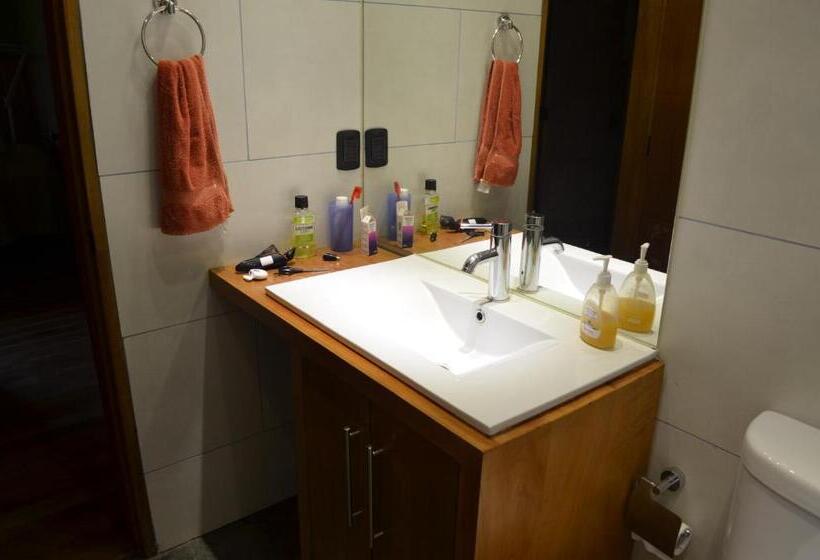 פנסיון Outrippers Pucón