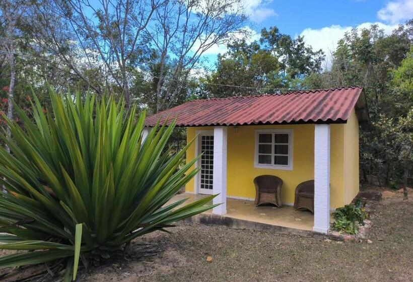 Пансион Pousada Recanto Da Mata