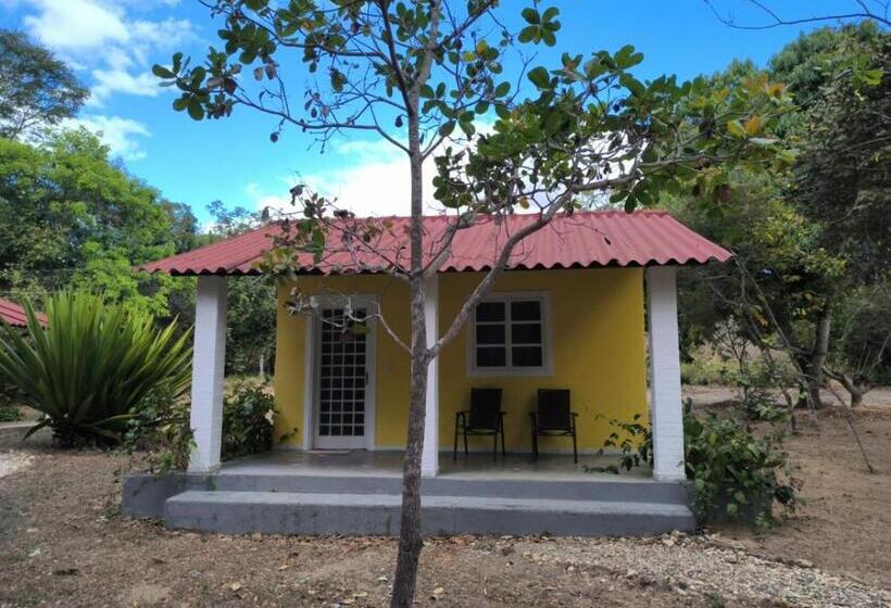 Пансион Pousada Recanto Da Mata