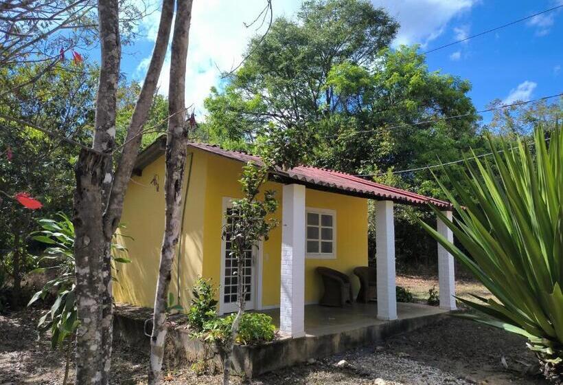 Пансион Pousada Recanto Da Mata