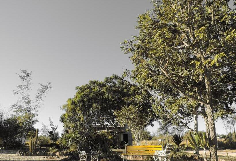 Пансион Pousada Recanto Da Mata