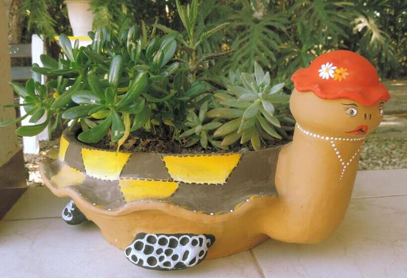 Пансион Pousada Recanto Da Mata