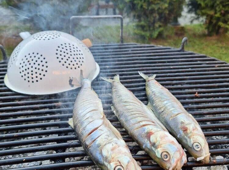 ユースホステル Cristian Inn