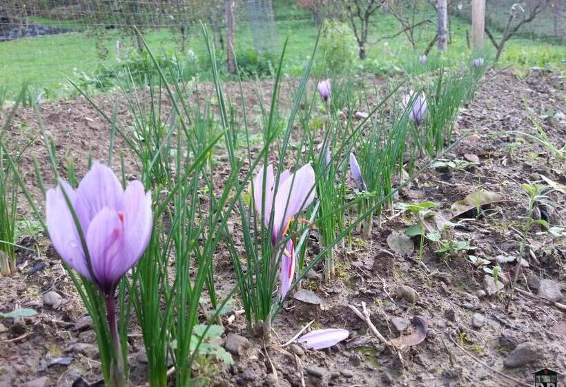 B&b Il Fienile Di Scarperia