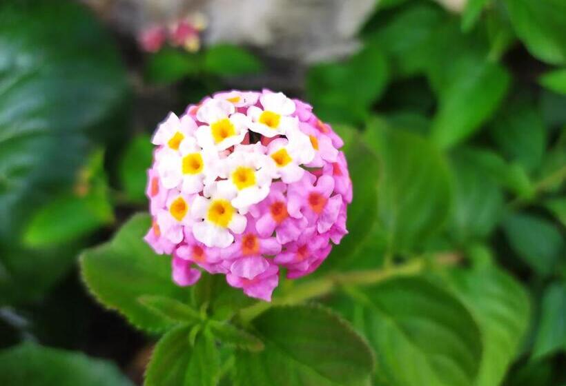 B&b Tra Mare E Marmo