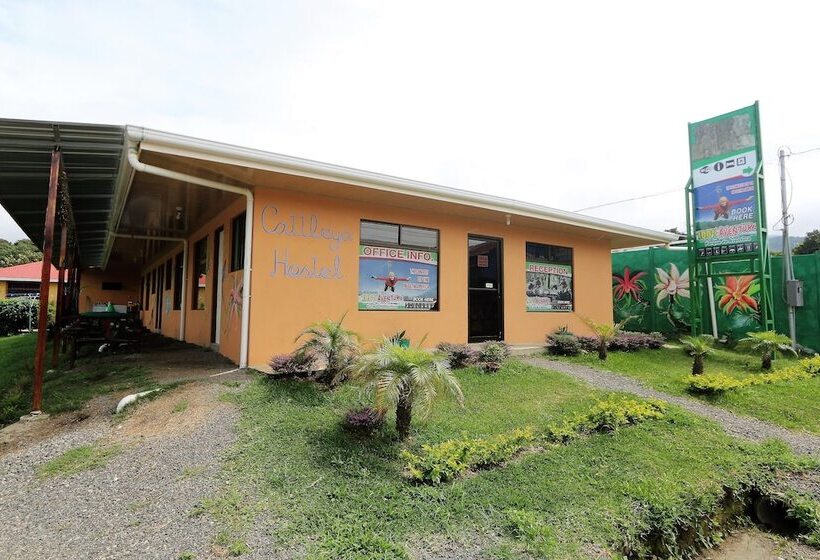 민박 Hostel Cattleya   Monteverde, Costa Rica