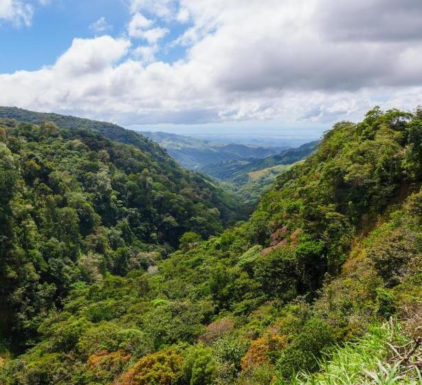민박 Hostel Cattleya   Monteverde, Costa Rica