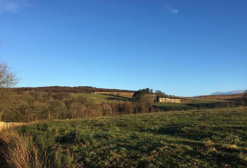 Dale House Barn And B&b